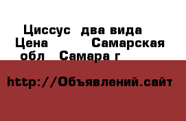 Циссус (два вида) › Цена ­ 100 - Самарская обл., Самара г.  »    